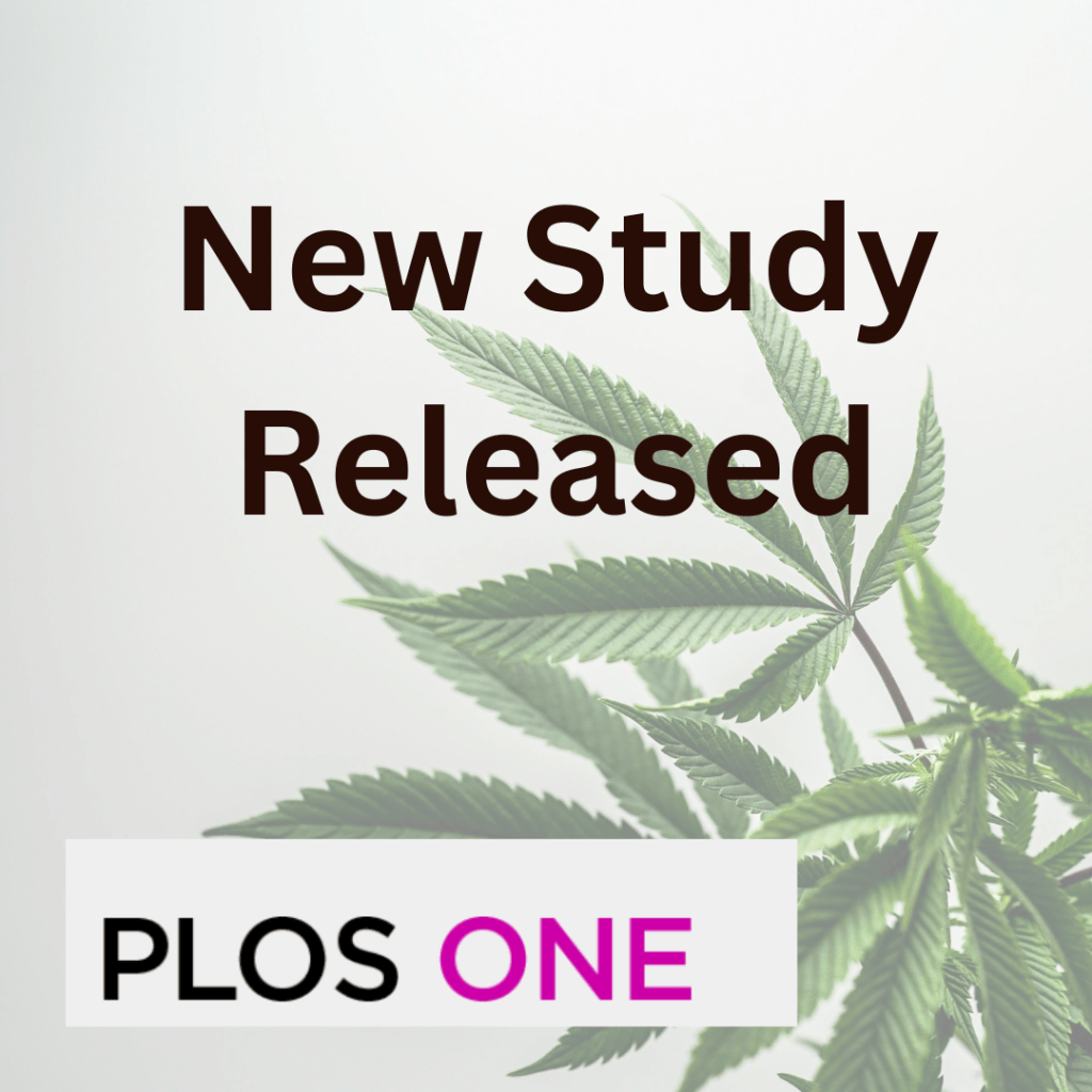 Exploring the Digital Highways: How Reddit Facilitated Cannabis Conversations During&nbsp;COVID-19